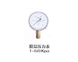 YE系列膜盒压力表